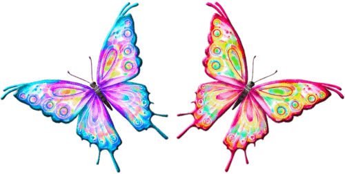 2 Butterflies